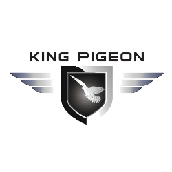 king pigeon